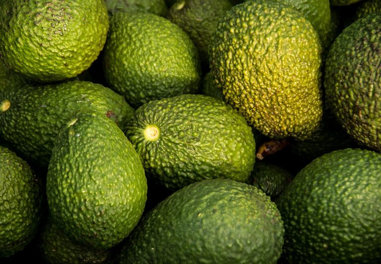 dieta pentru ficat gras