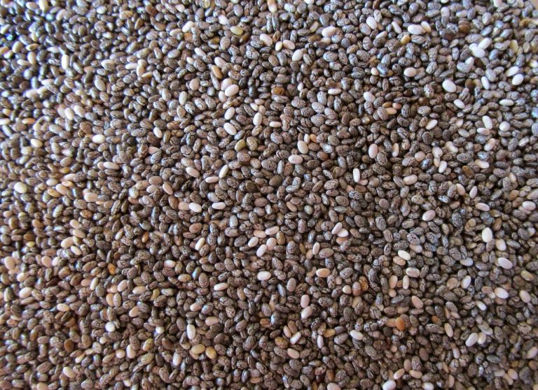 dieta cu seminte de chia
